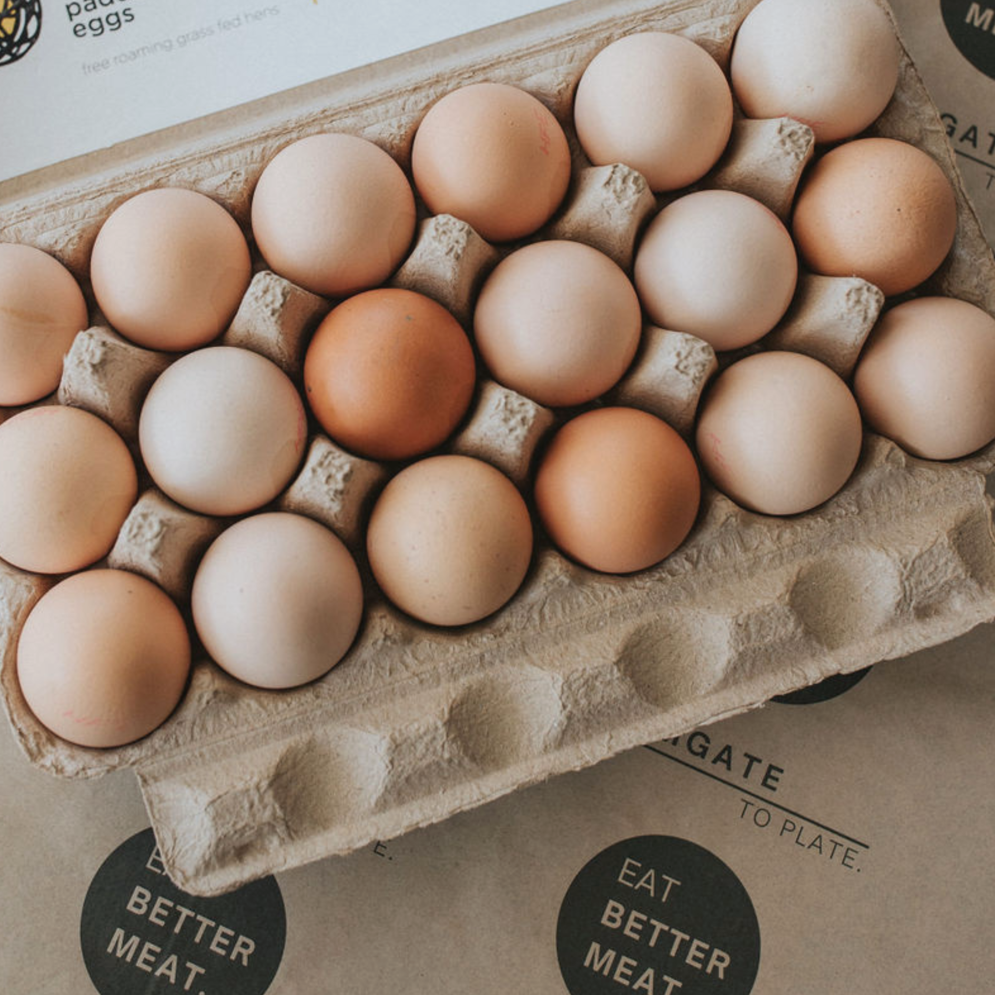 Dairy & Eggs